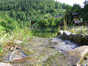 a nielen to, hneď vedľa kostola je jazierko-TAJCH-vodná nádrž z hrádzkou /foto: Peter Brňák 23.6.2008/
