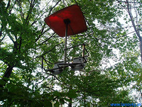 sedačka hlboko v lese /foto: Andrej-2004/