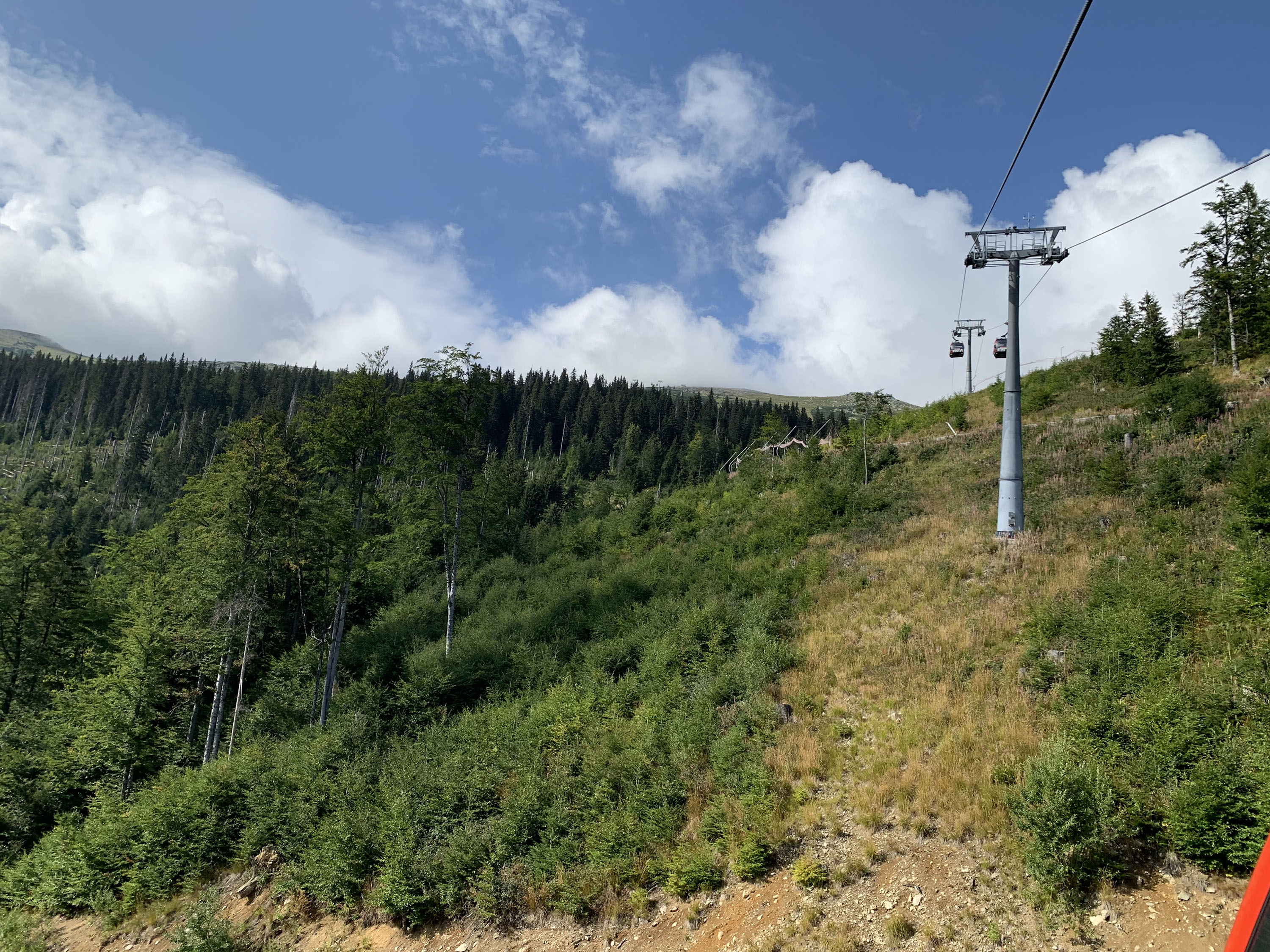 KLO-15 Krupová – Kosodrevina  - foto: Matej Petőcz 22.8.2022