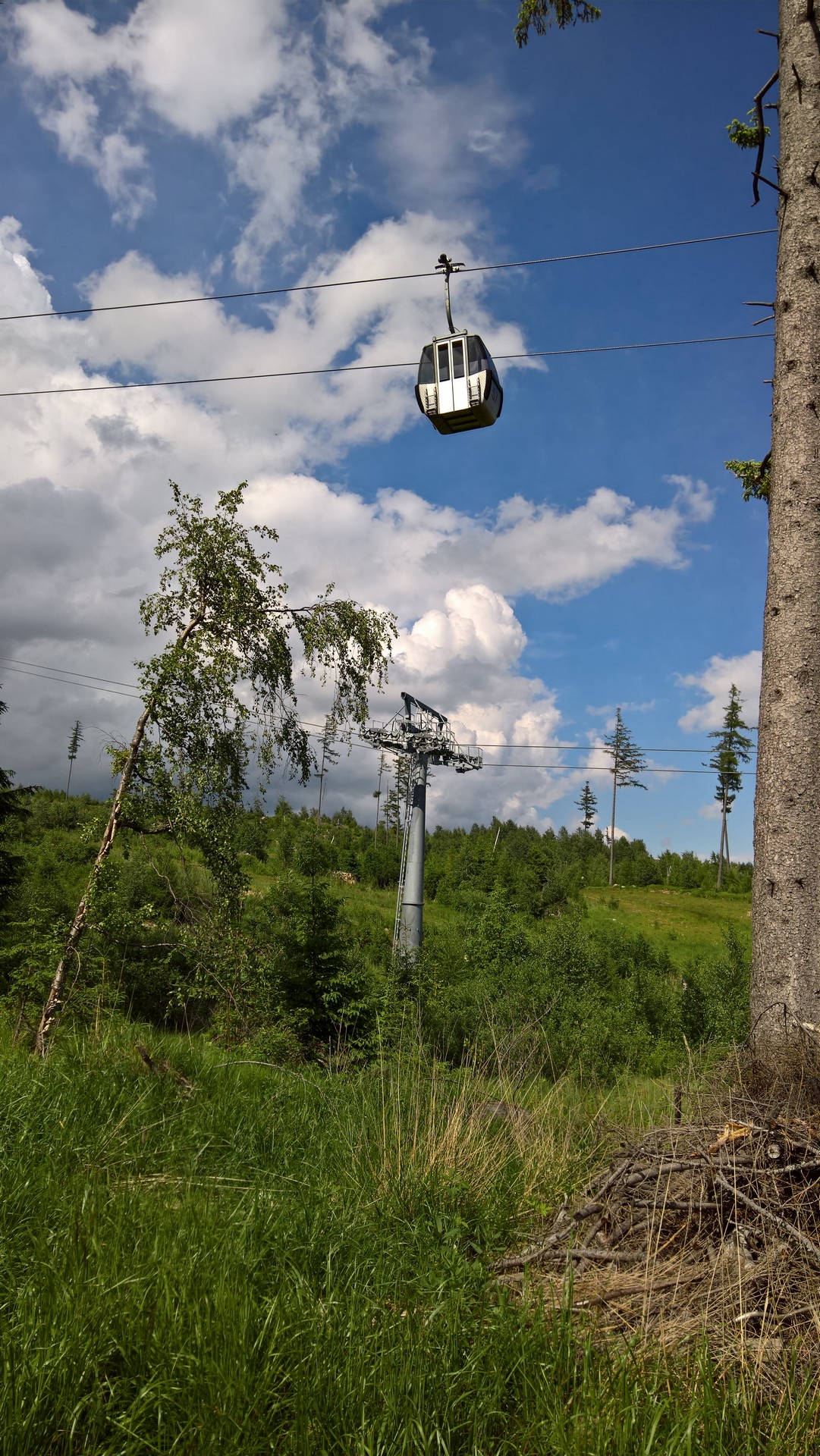 lomnicakld319.jpg - foto: Peťo Brňák 19.6.2016