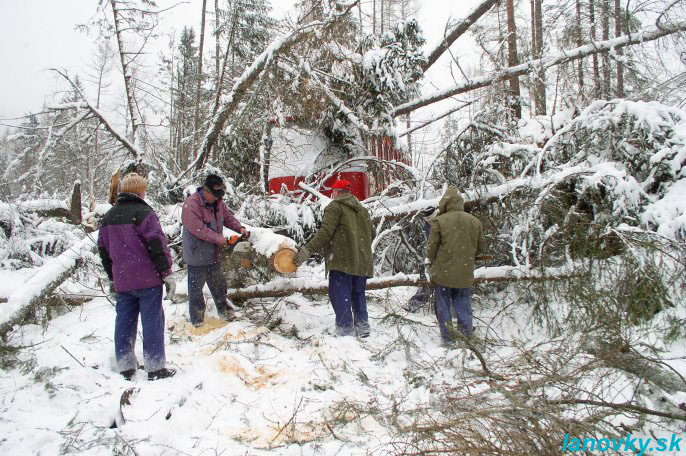 trať lanovky  - foto: Peter Klinko - Železničná spoločnosť 11-2002