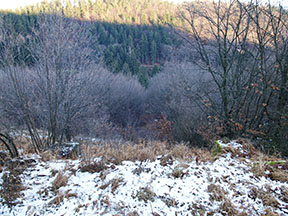 Pohľad od podpery č. 2 späť k dolnej stanici - tá sa nachádzala v údolí, strmo po spádnici /foto: Andrej Bisták 13.12.2020/