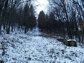Pätky podpery č. 4 (symetrické na ľavej strane sú schované pod snehom a lístím) /foto: Andrej Bisták 13.12.2020/