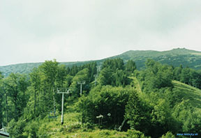 na fotke je vidno lanovku Srdiečko-Kosodrevina na údolnom úseku a vpravo hore je Chopok /foto: Peťo z Lamača/