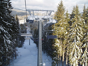 Kým vrcholový úsek trate vedie otvorenou stráňou, dolný prechádza lesným priesekom. /foto: Andrej 02.02.2007/