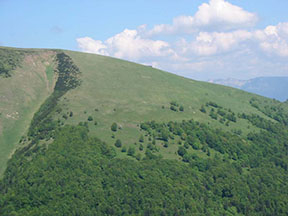 pohľad na vrcholovú stanicu lanovky (uprostred) z náprotivného hrebeňa Malej Krížnej /foto: Mirek/