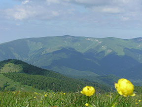 pohľad na pohorie Krížnej - v pozadí bývalá vrcholová stanica jednosedačky na Líšku /foto: Peťo z Lamača 22.6.2008/