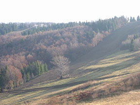 zjazdovka Marguška II, v pozadí nová lanovka/foto: Mirek 22.11.2003/